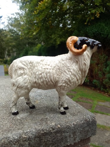 Vintage beswick gloss boreray - gloss,