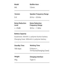 ⁺Language Translator Earbuds