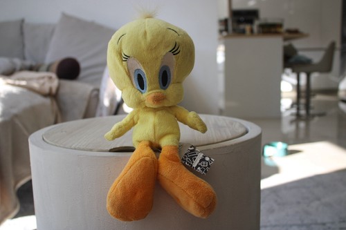Boots tweety pie looney tunes - pie,