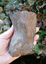 Fossil ice age - fossil, ~ice