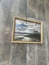 Gold Frame Peter Scott