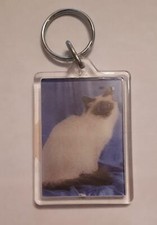 Birman Cat standing Keyring