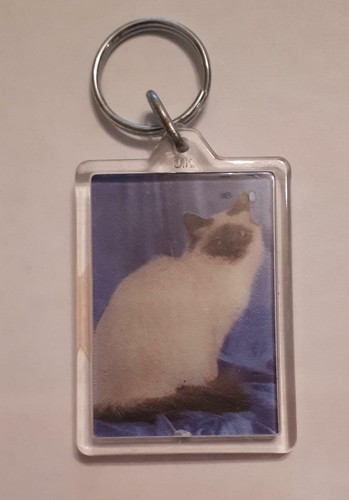 Birman cat standing keyring - cat,