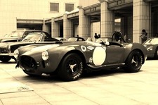 Cobra 427 car - show, classic