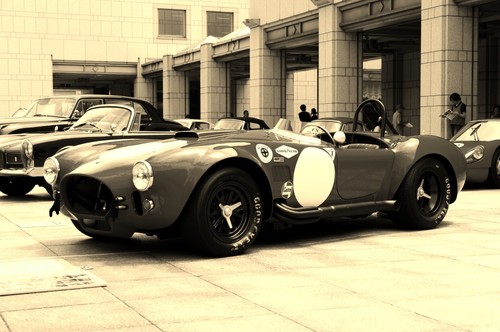Cobra 427 car - cobra, show