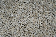 10kg Sunflower Hearts - Bakery
