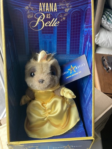 Ayana belle meerkat - ayana,