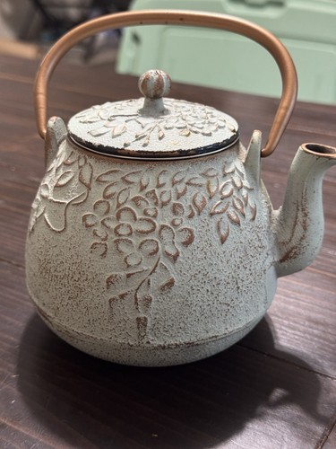 Tea kettle japanese cast - cast, iron