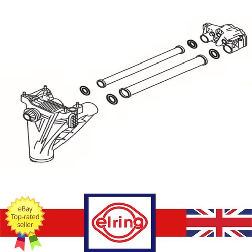 Oil pump seal - oil,