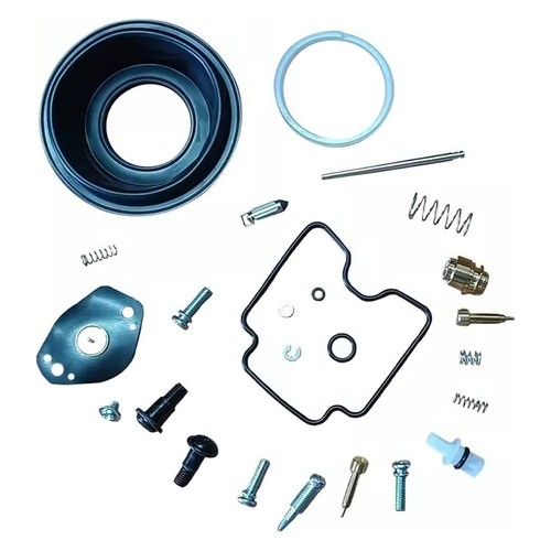 Carburetor reconstruction kit - carburetor,