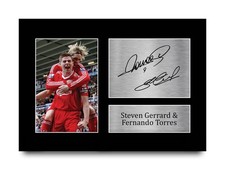 Steven Gerrard Fernando Torres