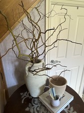 Twisted Willow Branches For