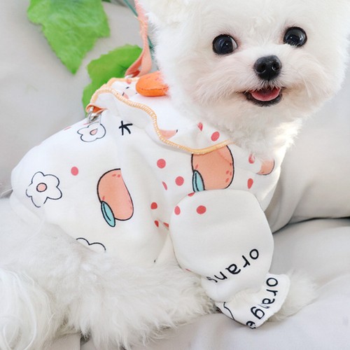 Small puppy clothes bichon - puppy,
