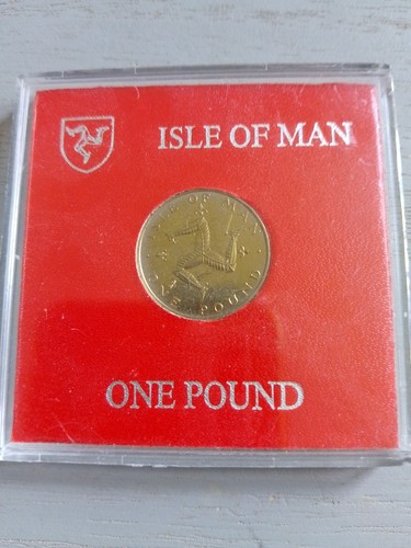 1981 isle man coin - of, £1
