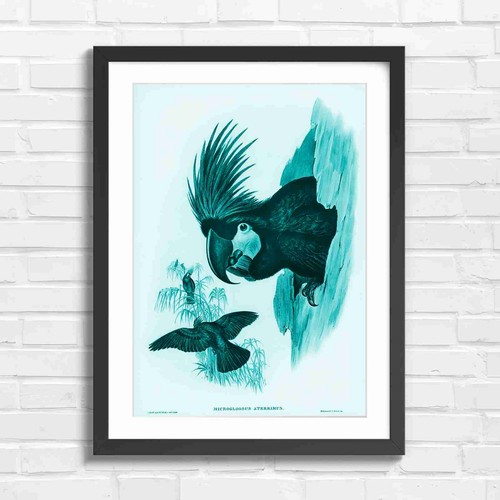 Black cockatoo nesting art - black,