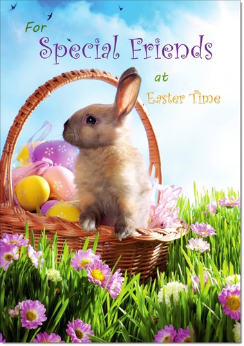 Doodlecards special friends - doodlecards,