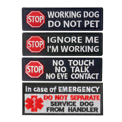 Stop not pet ignore - pet, me