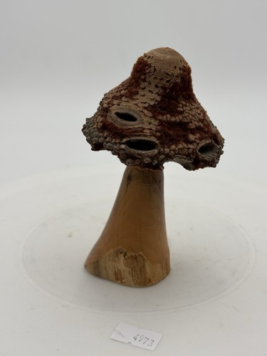 Unusual hand crafted - unusual,