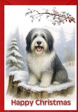 Bearded Collie Dog Christmas