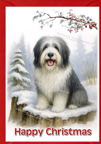 Bearded collie dog christmas - collie,