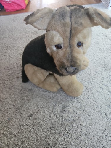 Avanti german shepherd puppy - avanti,