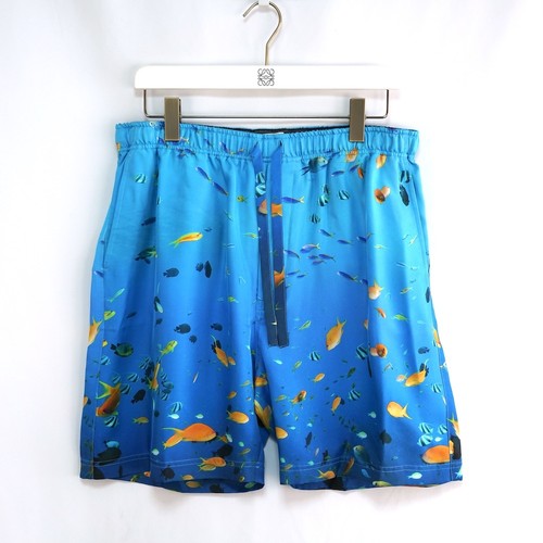 Loewe aquarium print silk - aquarium,