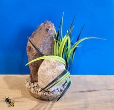 Rock plant aquarium ornament - plant,