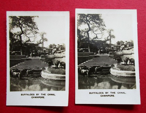 Cavanders pair 1927 - cavanders,