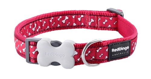 Red dingo patterned - red, dog
