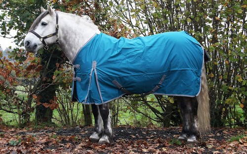 50g turnout rug - rug, lightweight