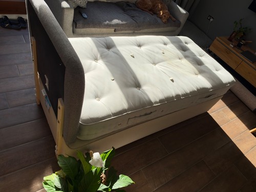 Spring baronet superb - baronet,
