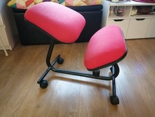 The Back Shop Ergonomic