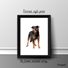 BEAUCERON DOG PET A4 PICTURE PRINT POSTER WALL ART HOME DECOR UNFRAMED GIFT NEW