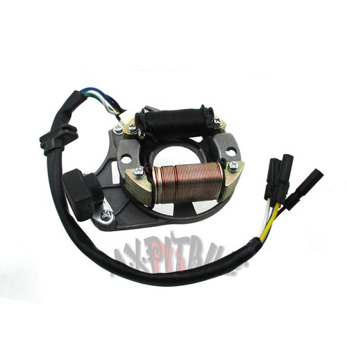 Magneto stator plate for - stator,
