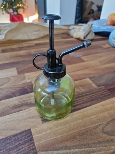 Plant mister spray bottle - plant,