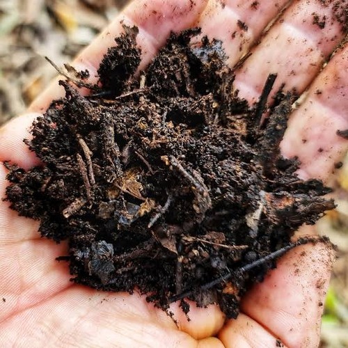 Leaf mould compost - compost, 6l