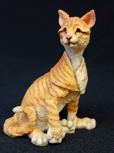 Breed apart tabby ginger - ',