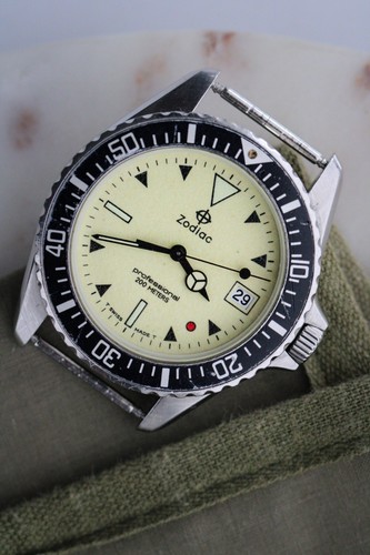Zodiac red point night - point, diver