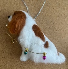 CAVALIER KING CHARLES SPANIEL