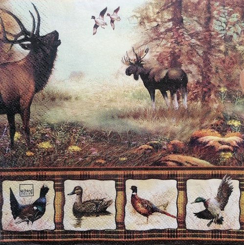 Paper napkins for - paper,