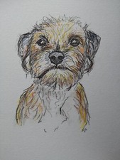 Border Terrier A4 Size