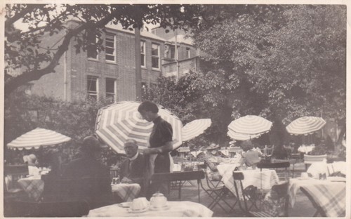 Outdoor garden cafe - garden,