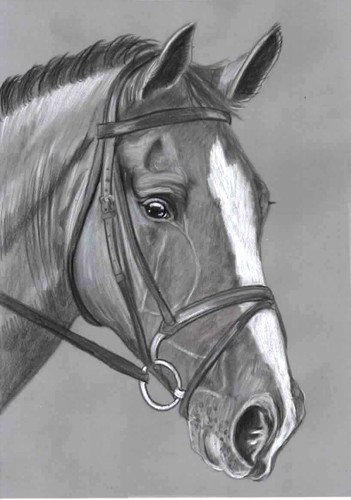 Original pencil drawing