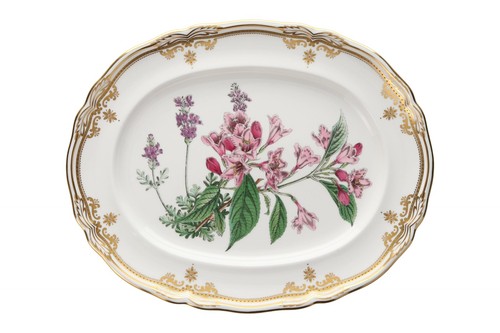 Spode stafford flowers - spode,