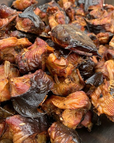 Tasty dried smoked - tasty, catfish