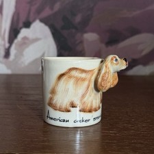 Blue Witch American Cocker