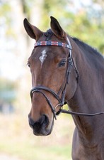 Shires Blenheim Leather Polo Browband waxy, conker brown leather, this smart ...