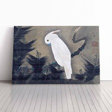 White Cockatoo On A Pine