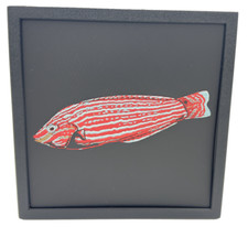 Marine Fish – Wrasse 3D