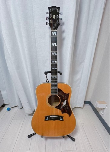 1970s gibson dove acoustic - dove,